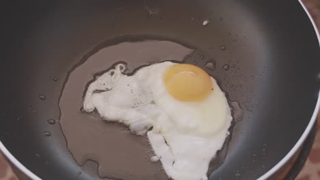 cocción