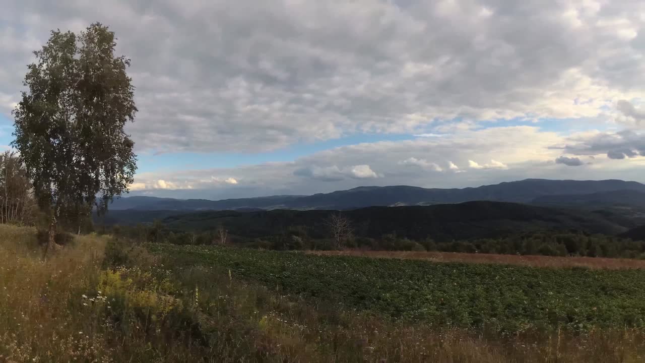 los cárpatos de verano