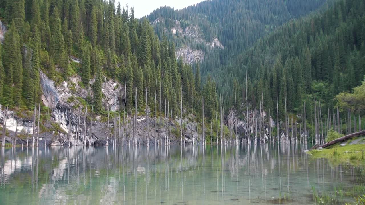 lago kaindy en kazajstán conocido también como lago de abedules o bosque submarino