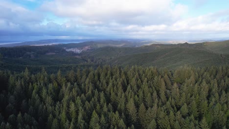 Hermosa-Toma-Aérea-De-Dron-De-4k-Que-Alcanza-Su-Punto-Máximo-Sobre-El-Horizonte-Del-Paisaje-Del-árbol-Del-Sur-De-Oregon