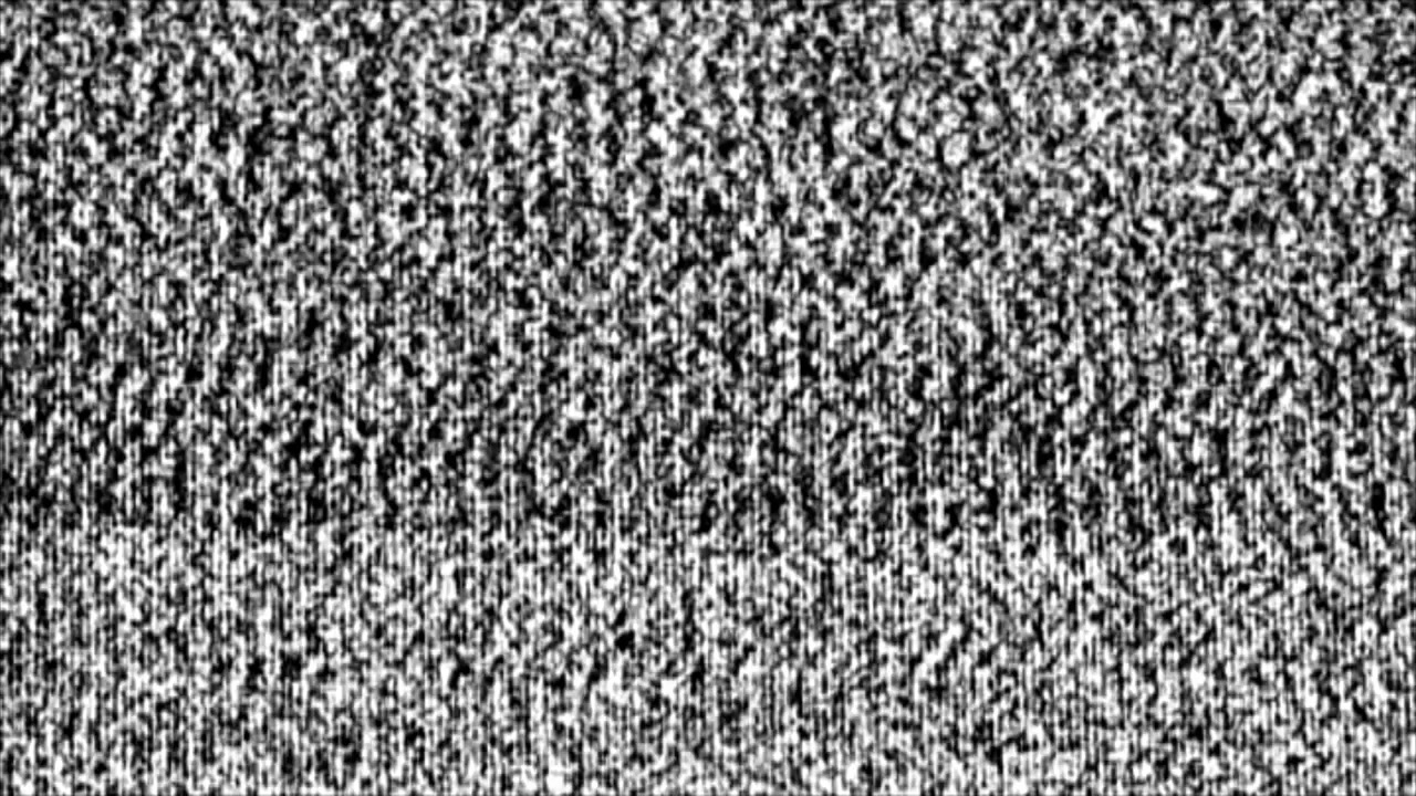 Flickering Black and White Television Static Noise