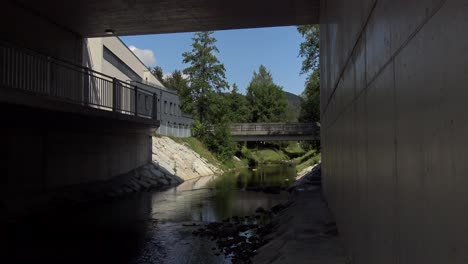 walking under a bridge by the side of a stream on a sunny day