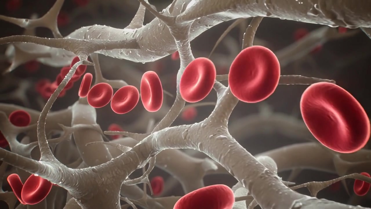 Flow initiating red blood cells moving through microvessel mesh, passing narrow gaps