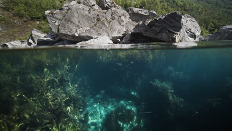 the crystal-clear water of geiranger fjord reveals underwater life below, while rugged rocks line the fjord’s shore in the over-under shot.