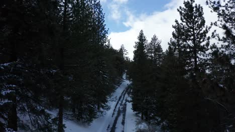 Fliegen-Durch-Den-Schneebedeckten-Wald-In-Tehachapi,-Kalifornien