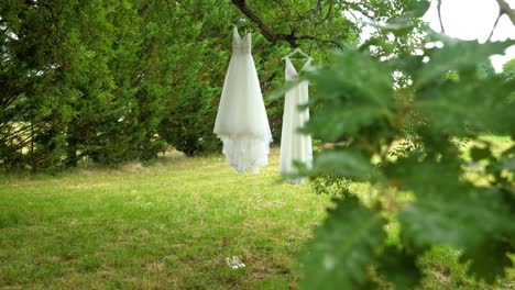 Baldachin-Der-Natur:-Brautkleider-Tanzen-In-Der-Umarmung-Einer-Eiche