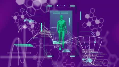 animación de la cadena de adn, el cuerpo humano y el procesamiento de datos científicos.