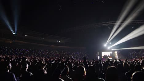 energetic concert crowd