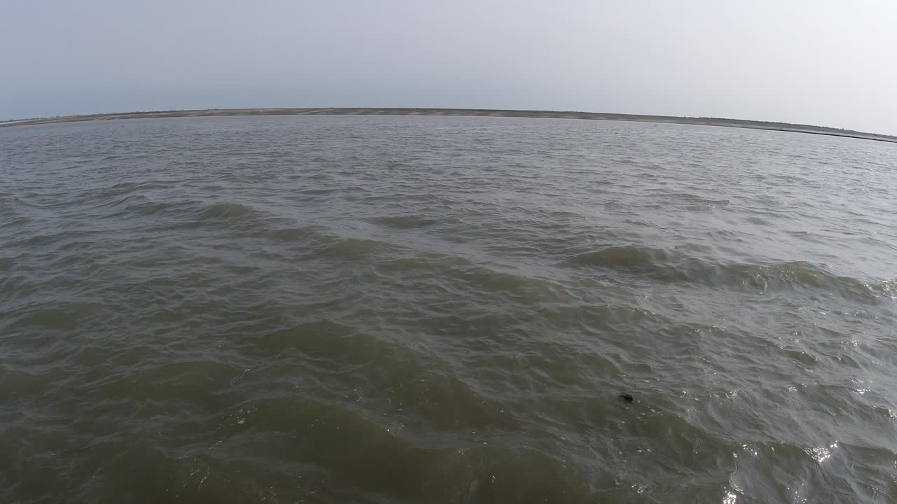 el río más grande del noreste de la india, el bammaputra. video de movimiento desde dentro del barco.