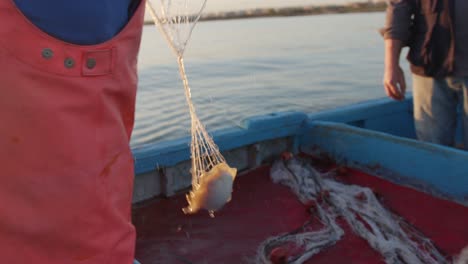 fisherman pulling on fish net with a cuttlefish catch