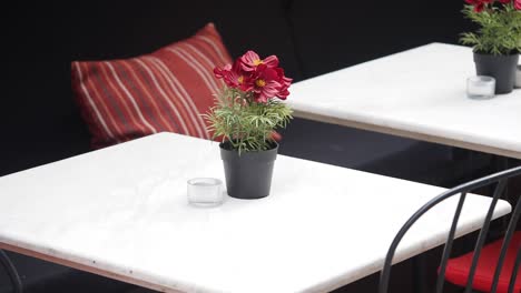 empty cafe tables with potted flowers
