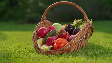 assortment of fresh vegetables in a basket