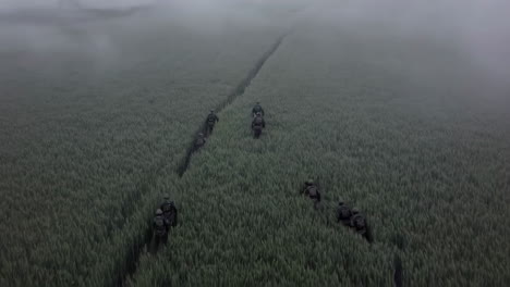 soldiers training in a foggy wheat field