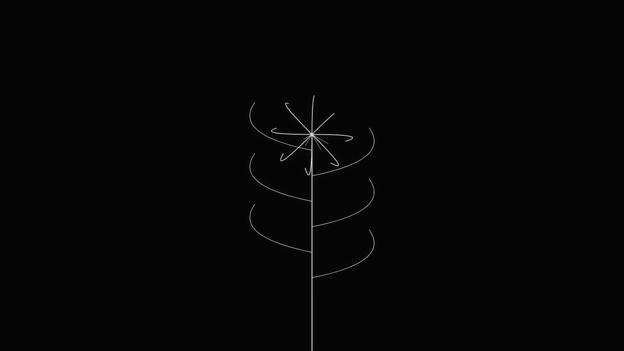 Minimalist Line Animation of a Growing Plant