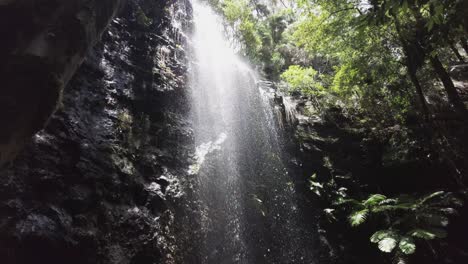 beautiful tranquil serene waterfall, tilt up