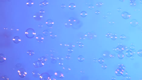 soap bubbles soaring up on a blue background soap bubbles soaring up on a blue background abstract animation