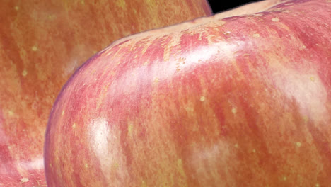 close-up of two red apples