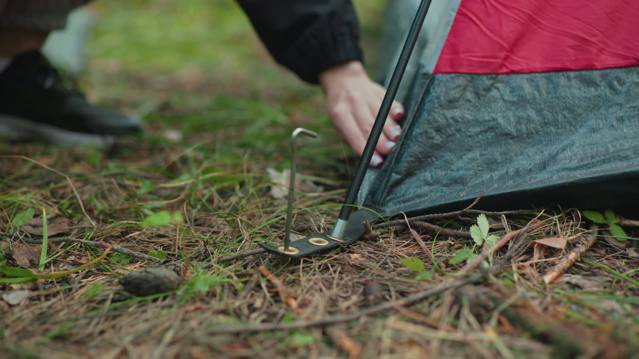 partial view of person pegging tent by pressing metal stake through loop on tent base while holding thick wooden stick ready to hammer it down on forest ground with dry leaves and twigs scattered