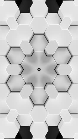 monochrome hexagon kaleidoscope wall. looped animation vertical
