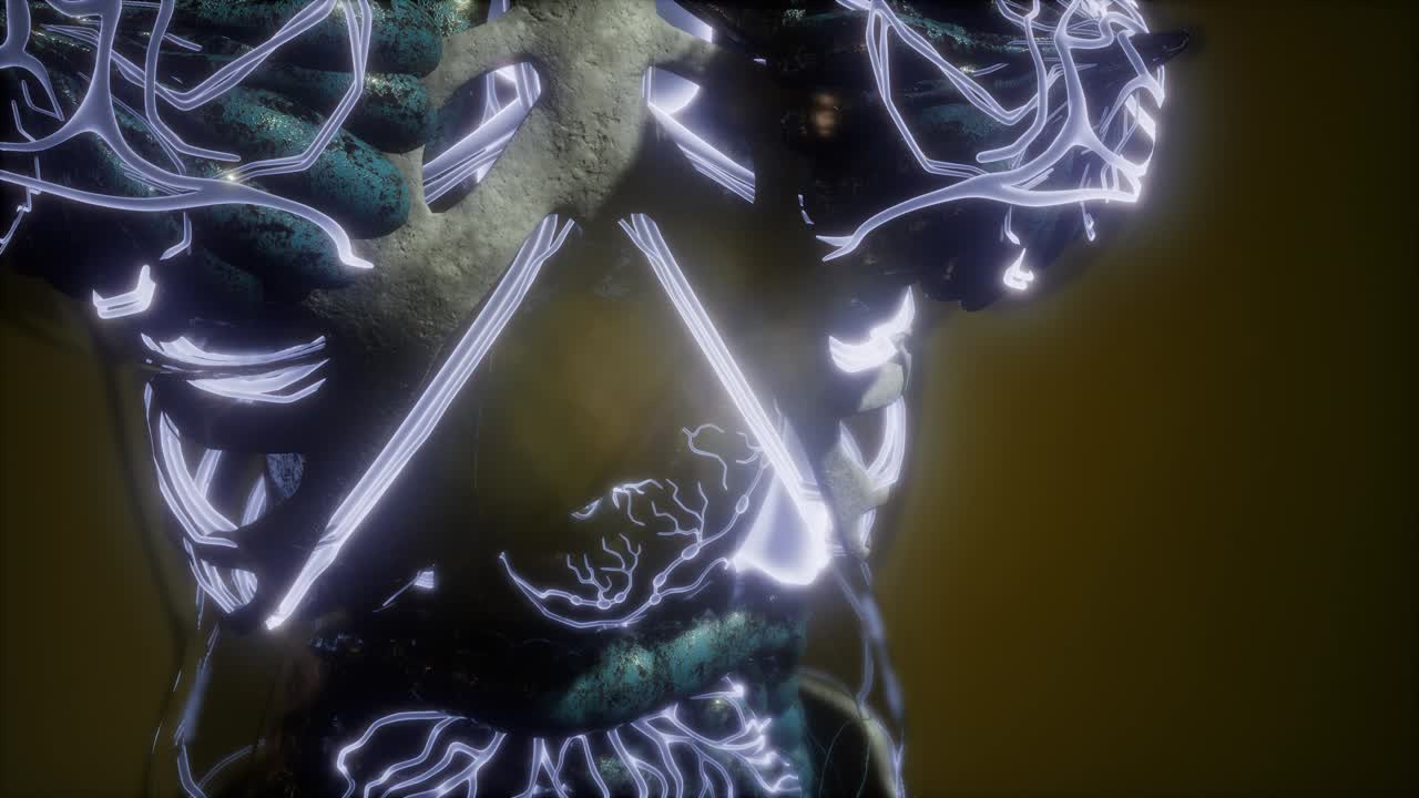 빛나는 혈관으로 된 인체