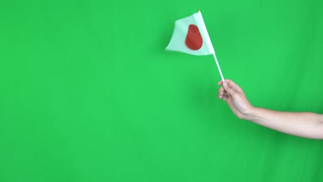 close up of unknown hand holding a waving japan flag on green screen background in the studio. shot in 4k resolution