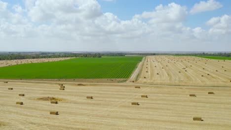 Campos-De-Paja-En-Alumim,-Sdot-Negev,-Israel