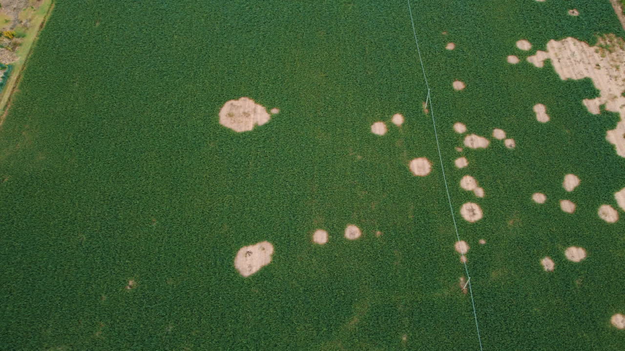 작물 손상 에 대한 공중 사진