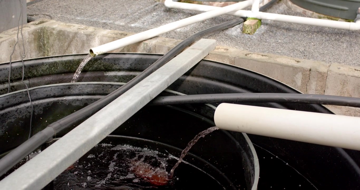 Un grande serbatoio nero riceve flussi costanti da ugelli in PVC che rilasciano acqua per il riciclo.