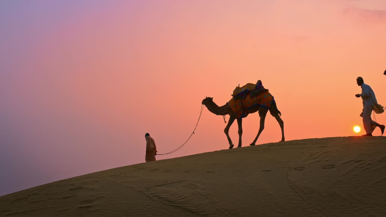 인도 낙타 운전자: 해가 지면 타르 사막의 모래 언덕에서 낙타 실루을 가진 베두인. 라자스탄의 카라반 여행 관광 배경 사파리 모험. 자이살메르, 라자스탄, 인도