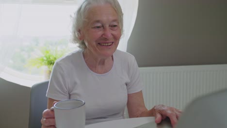 old woman using laptop.