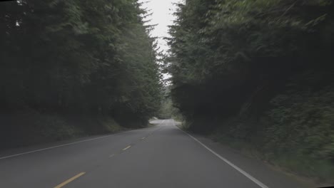 driving down long straight oregon forest road