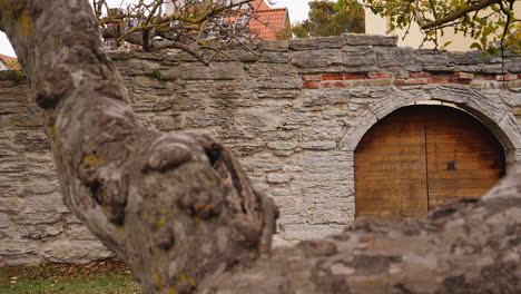 Steady-motion-along-an-ancient-fortress-wall