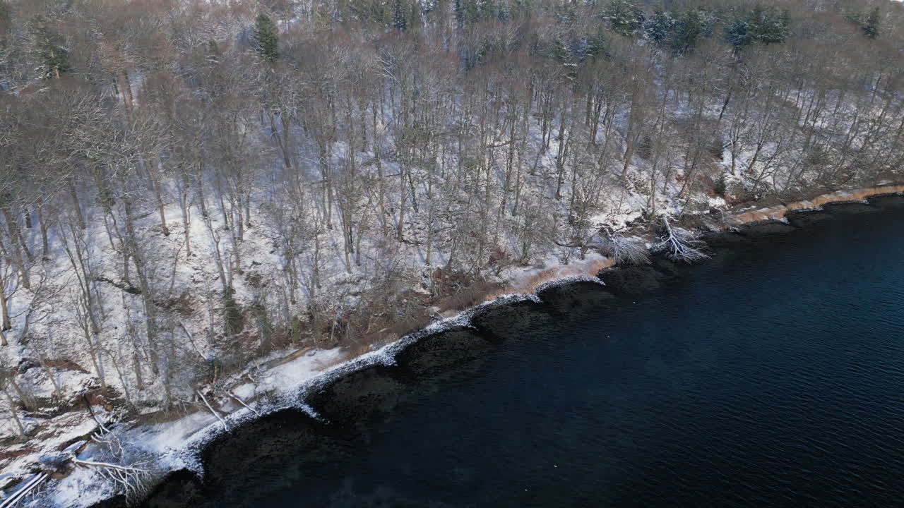 vista aérea de un sereno bosque cubierto de nieve junto a un lago tranquilo en invierno, mostrando la belleza tranquila de la naturaleza