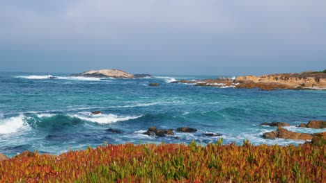 17-Mile-Drive-in-Monterey,-Pebble-Beach,-California