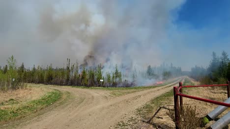 Canada-wildfire-burning-along-dirt-road,-black-smoke,-Alberta,-Canada