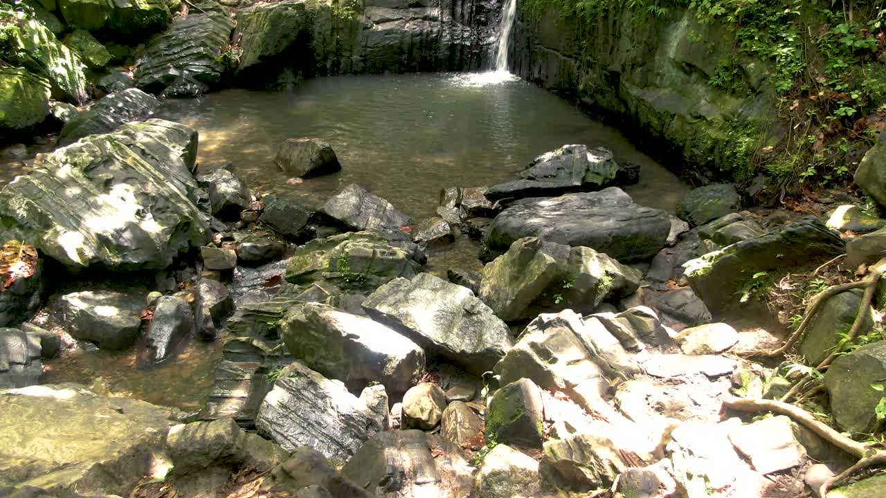 Serene Waterfall in Lush Forest