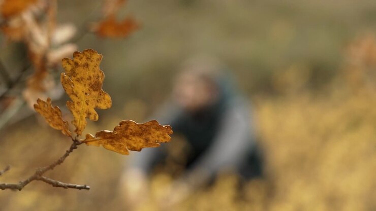 man zit in het veld met gele bloemen op de wazige achtergrond