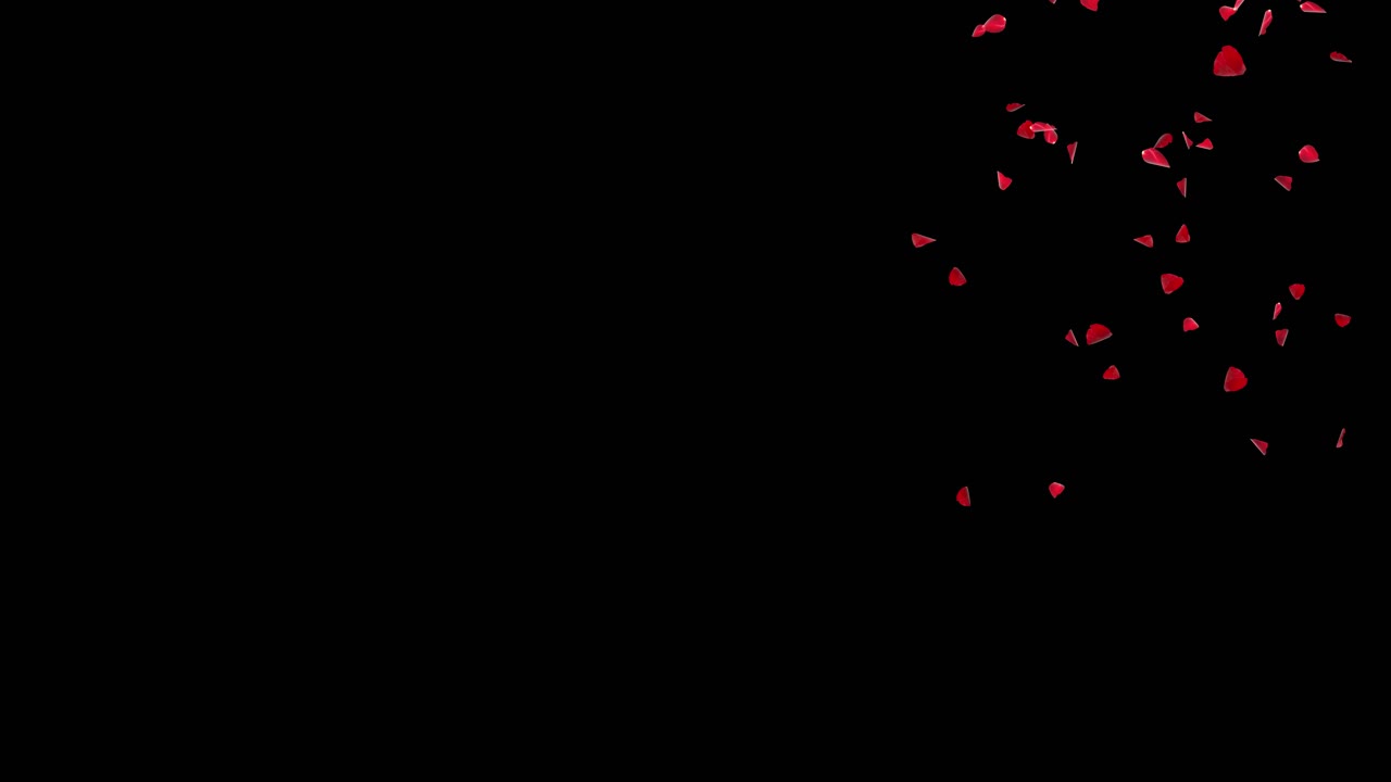4k rose petals falling realistic animation falling rose petals you can replace background engagement