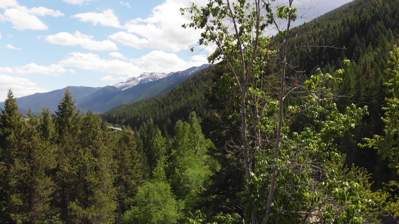toma aérea del parque del glaciar este, la cámara asciende a través de los árboles revelando el río flathead, las vías del tren y la montaña cubierta de nieve en el fondo