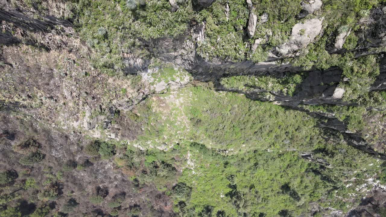 화창한 날에 절벽 위로 기울어져 아래로 지브