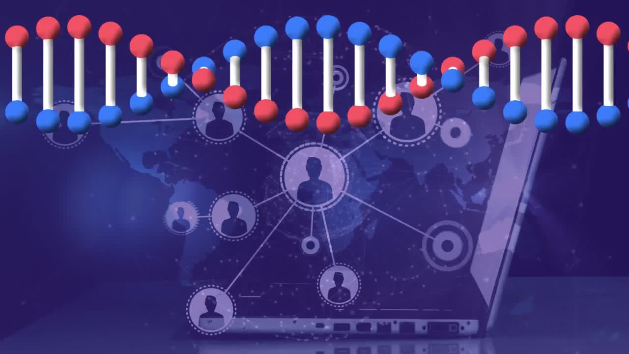 animación de la cadena de adn y la red de conexiones sobre el hombre utilizando una computadora portátil