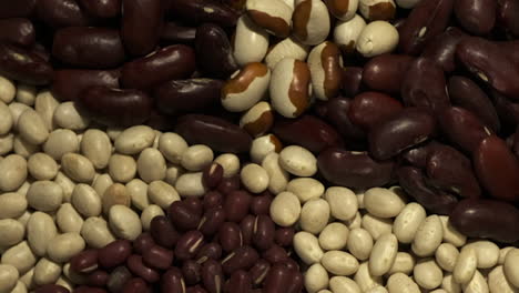frijoles: riñón, adzuki, marino, frijoles de ojos amarillos giran en una vista de cerca
