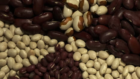 beans: kidney, adzuki, navy, yellow-eyed beans rotate in closeup view