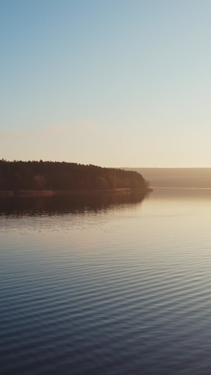 Evening river among nature.Tree without leaves over the water at sunset. Dark forest near the lake. Vertical video