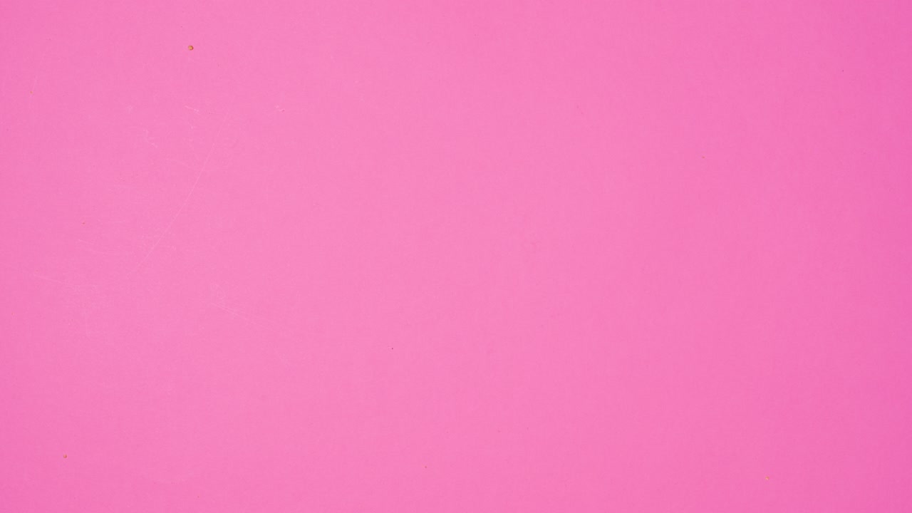 Round sweet biscuits appear and make frame on vibrant pink background. Stop motion flat lay