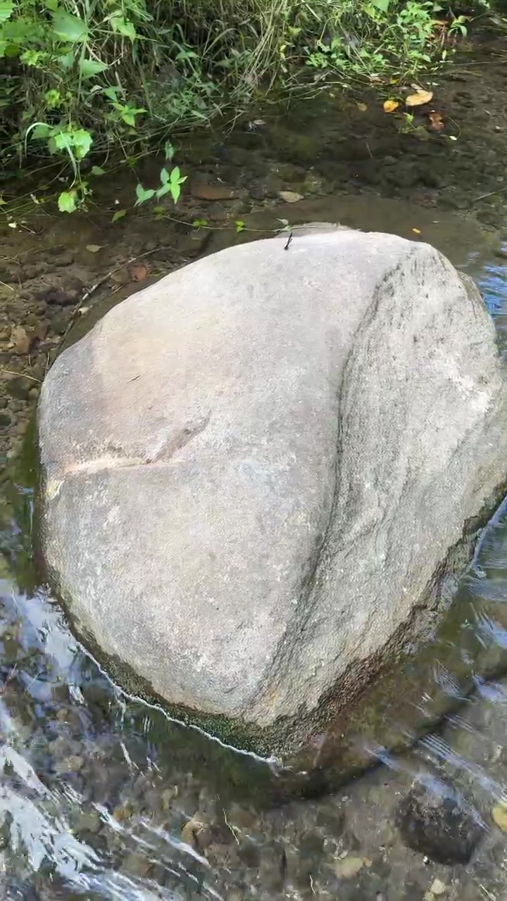 Acqua limpida che scorre intorno a una grande roccia in un ruscello