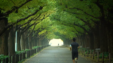 man running for exercise in a park in tokyo.