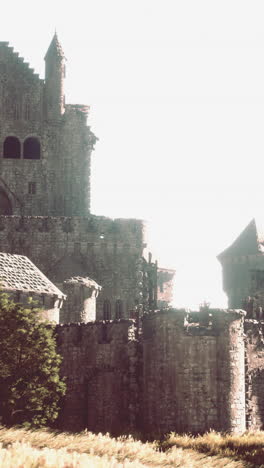 a stone castle ruins in a field