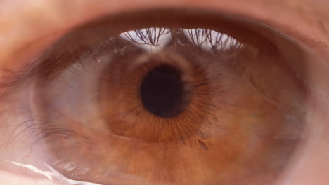 primer plano del ojo