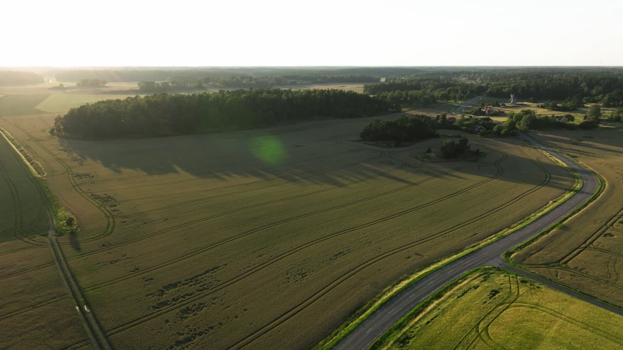 Oats field aerial view in Sweden